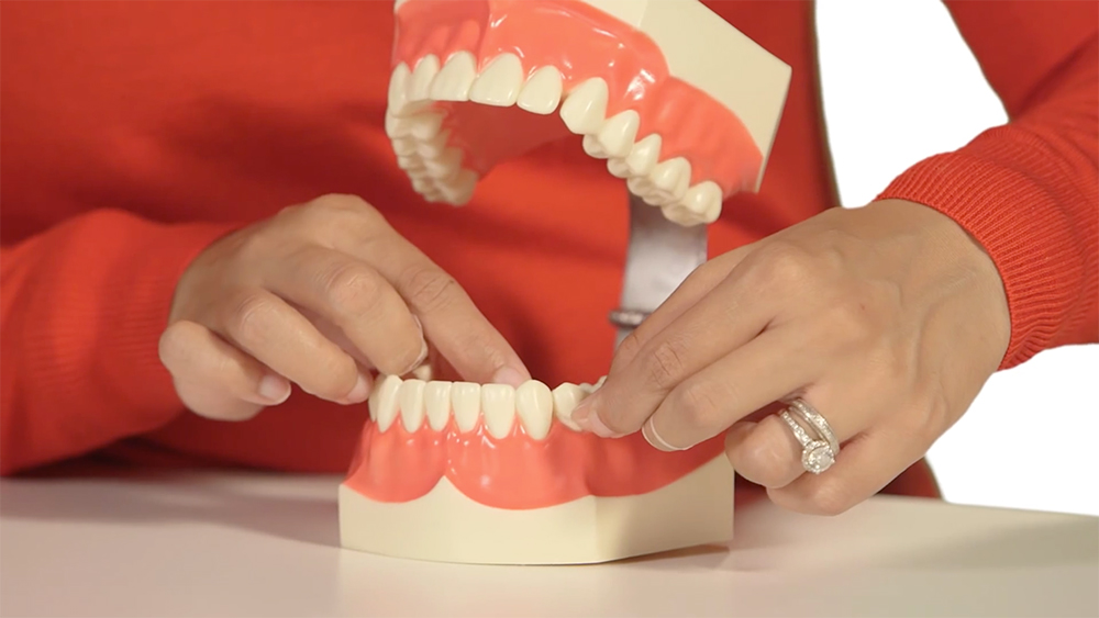 patient education on how to floss your teeth